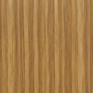 CEDAR