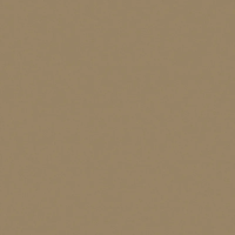 BEIGE 7648 <br> AM 1800 TopMatt AF